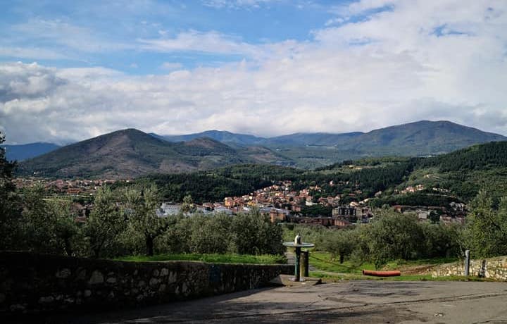 Prato.jpg